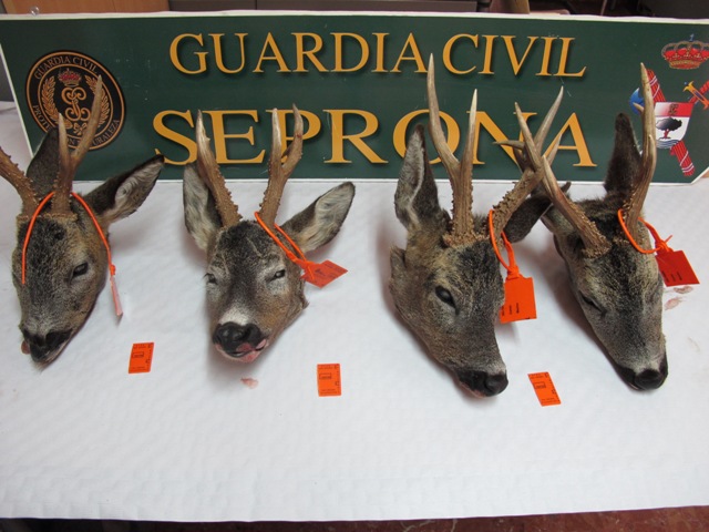 La Guardia Civil denuncia ante la Junta a cuatro cazadores como presuntos autores de infracciones a la Ley de Caza